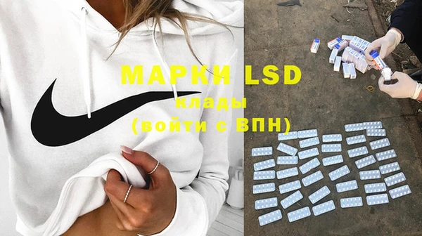 PSILOCYBIN Верхний Тагил
