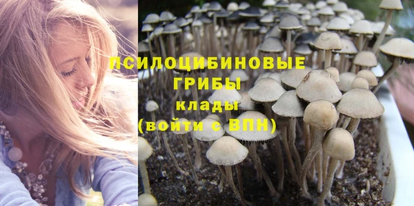 PSILOCYBIN Верхний Тагил