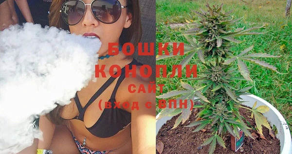 PSILOCYBIN Верхний Тагил