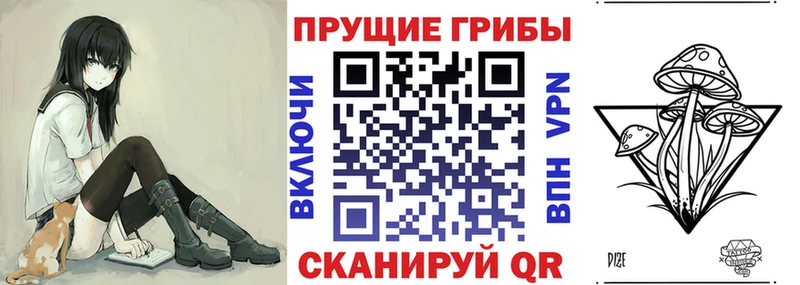 блэк спрут ССЫЛКА  купить  цена  Краснообск  Псилоцибиновые грибы Psilocybine cubensis 